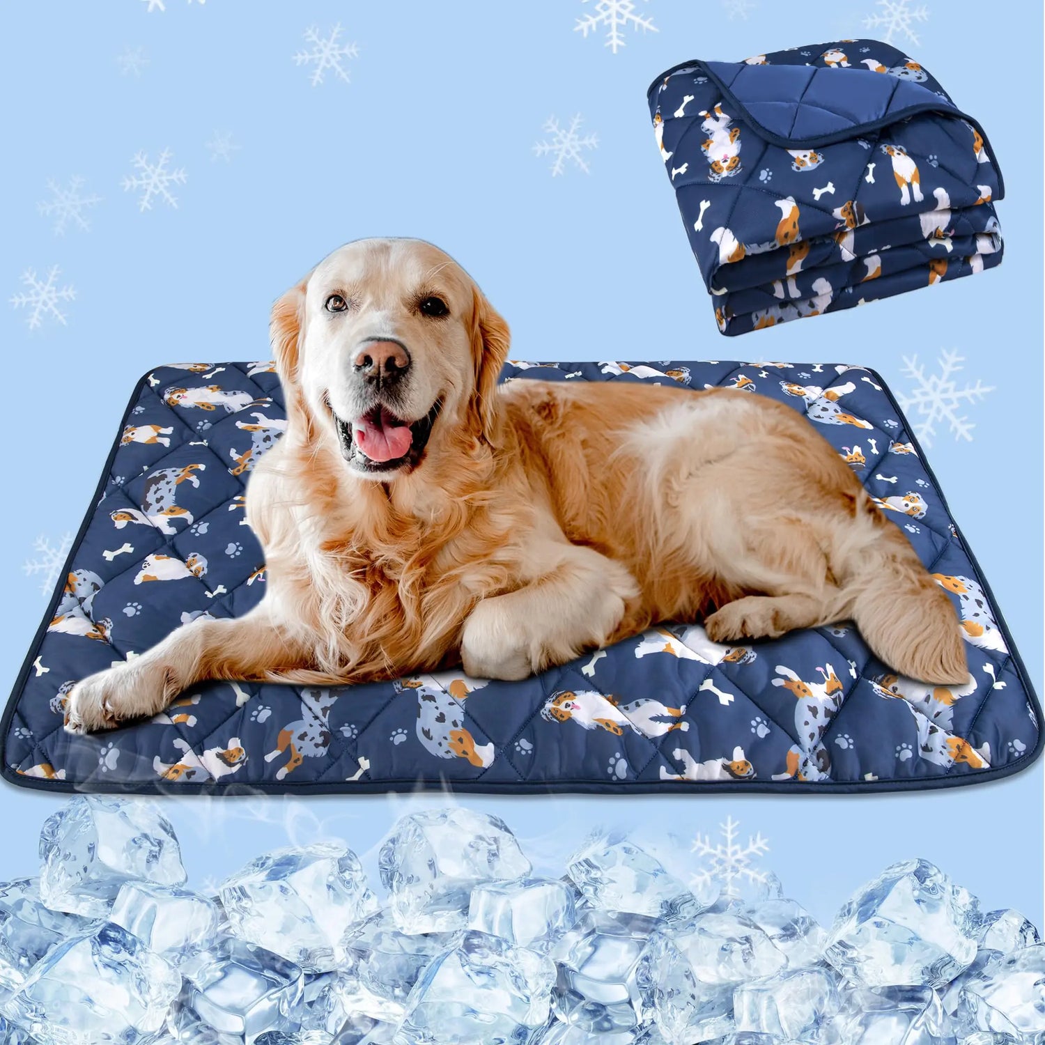 Pet Supplies